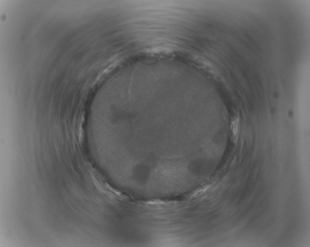 X0000066120963200603171750