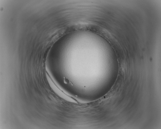 X0000066120964200603171750