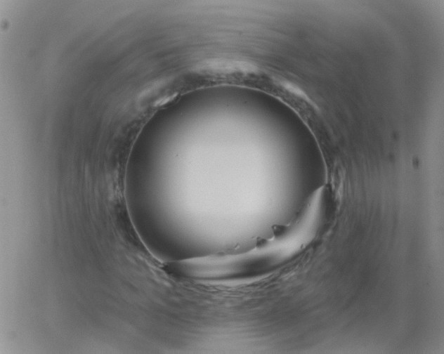 X0000066120965200603171750