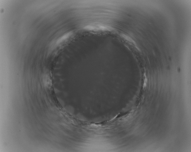 X0000066120966200603171750