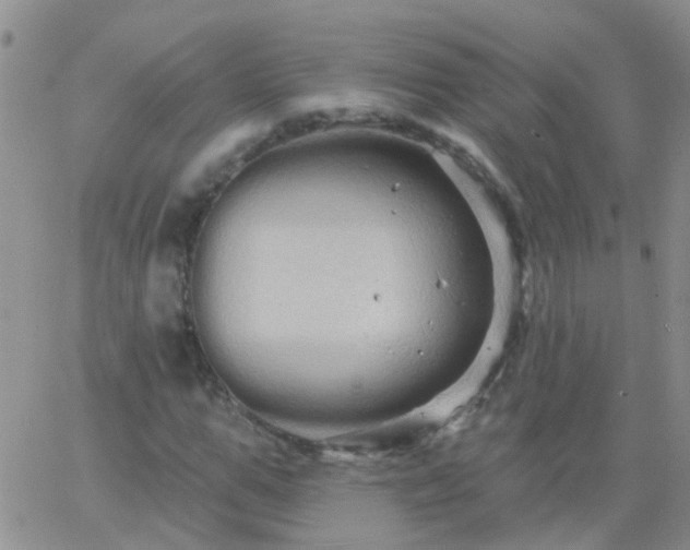 X0000066120967200603171750