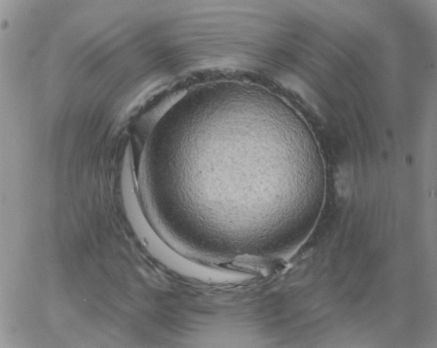 X0000066120968200603171750