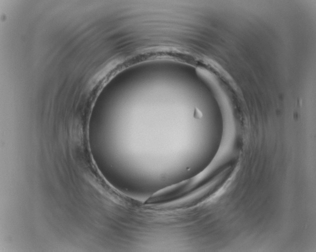 X0000066120969200603171750