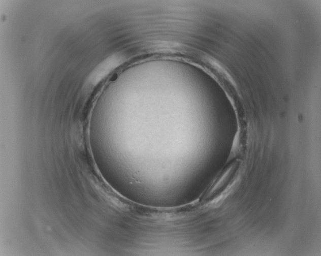 X0000066120970200603171750