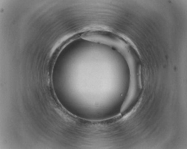 X0000066120973200603171750