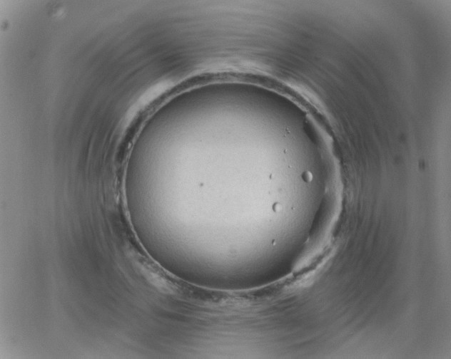 X0000066120974200603171750