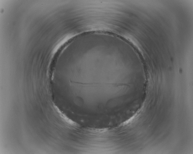 X0000066120975200603171750