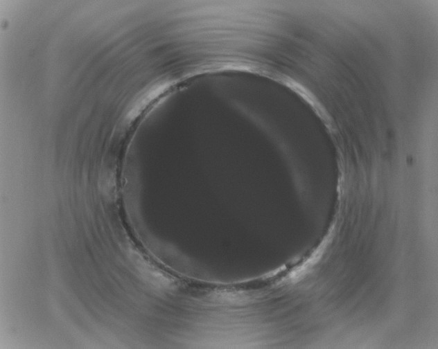 X0000066120977200603171749