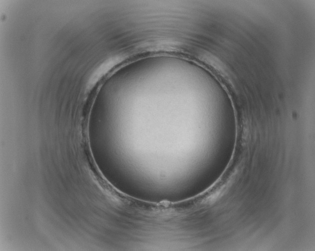 X0000066120978200603171749