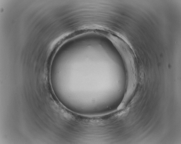 X0000066120979200603171749