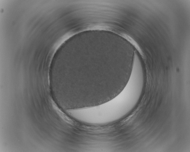 X0000066120980200603171749