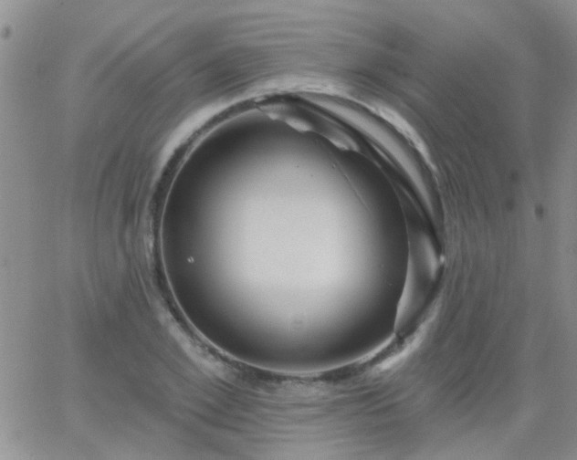 X0000066120981200603171749