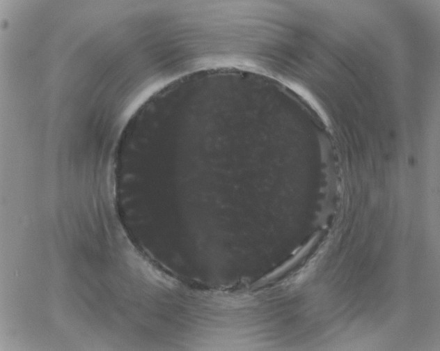 X0000066120983200603171749