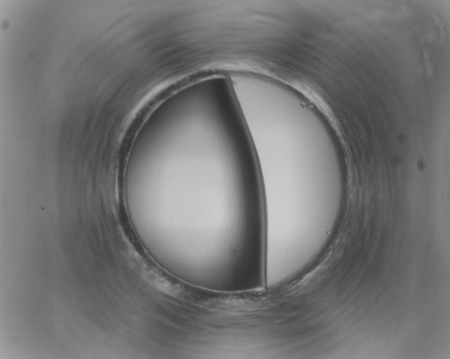 X0000066120984200603171749