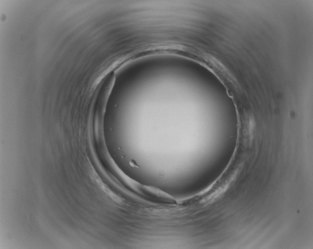 X0000066120985200603171749