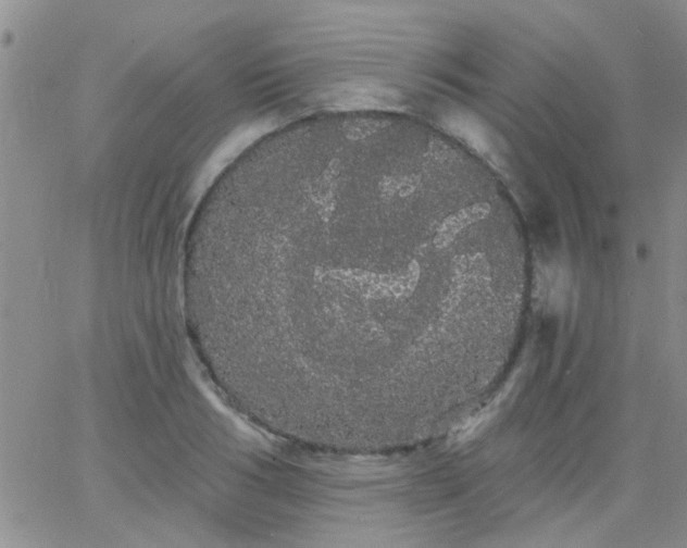 X0000066120986200603171749