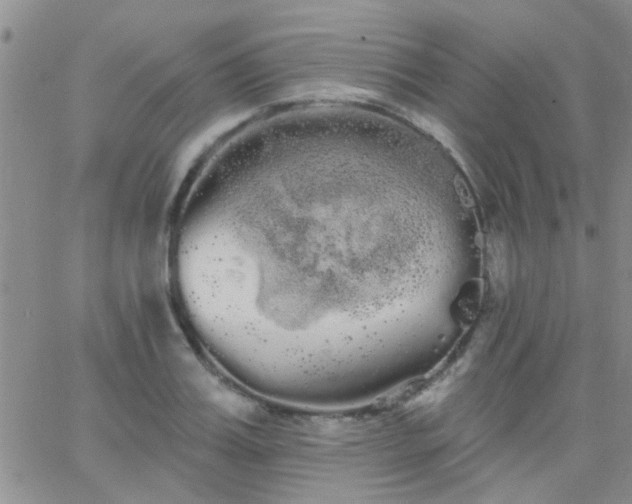 X0000066120987200603171749