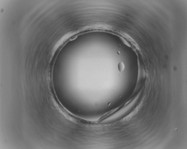 X0000066120989200603171749