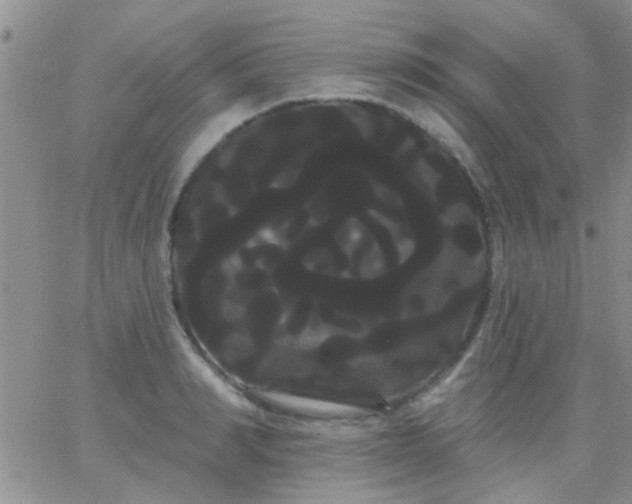 X0000066120990200603171749