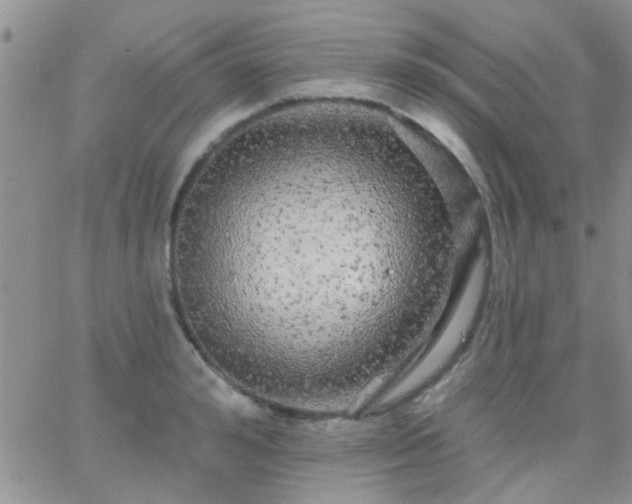 X0000066120992200603171749