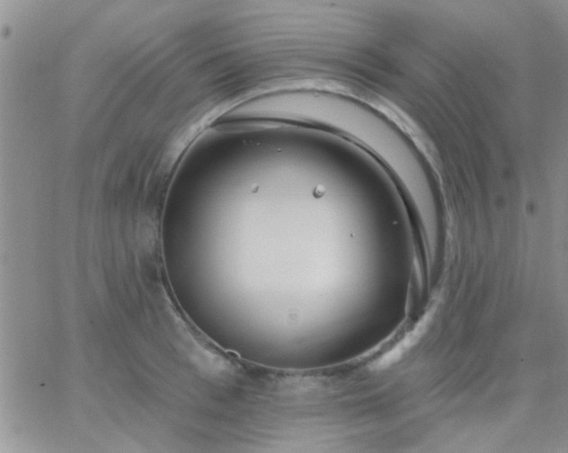 X0000066120993200603171749