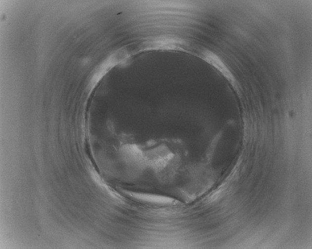 X0000066120994200603171749