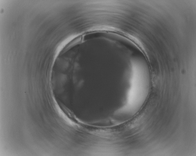 X0000066120995200603171749