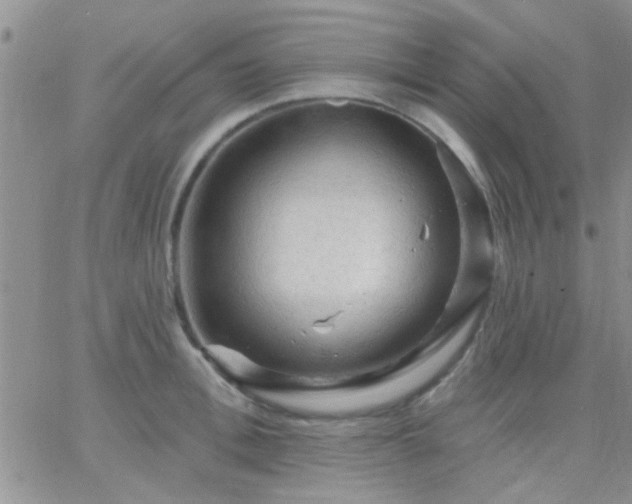 X0000066120996200603171749