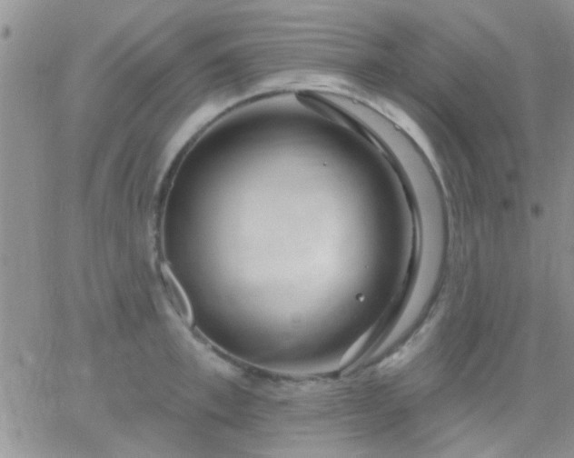 X0000066120997200603171749