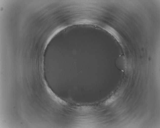 X0000066121000200603171749