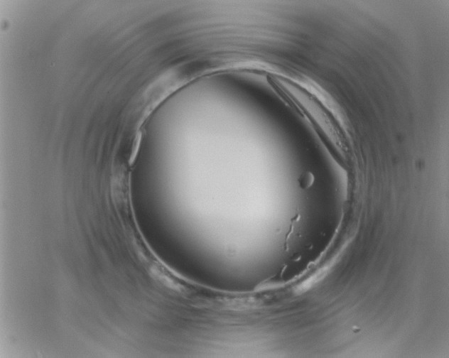 X0000066121001200603171749