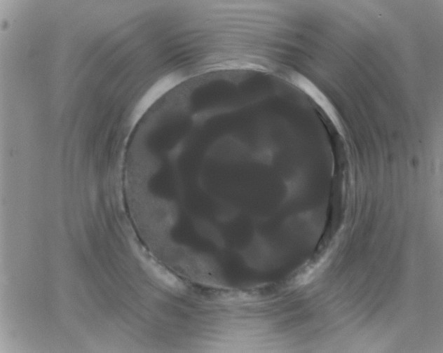 X0000066121002200603171749