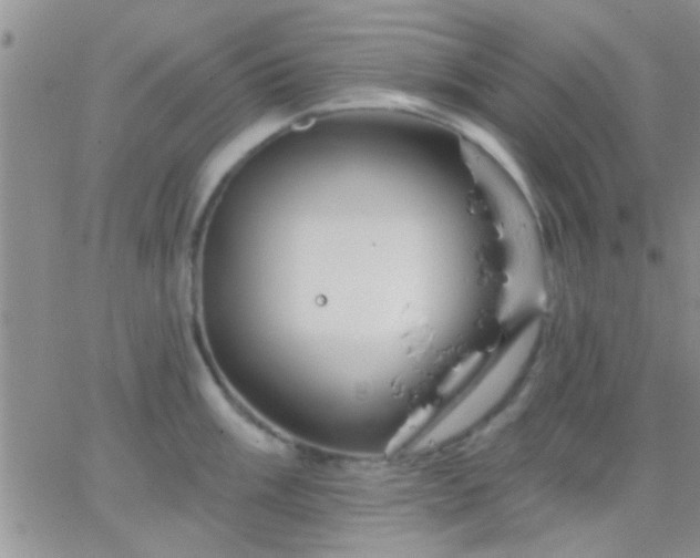 X0000066121003200603171749