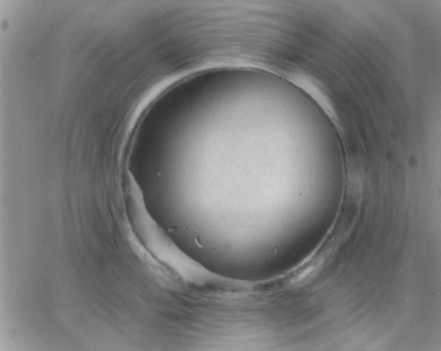 X0000066121004200603171749