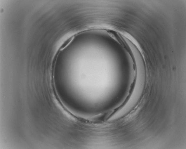 X0000066121005200603171749