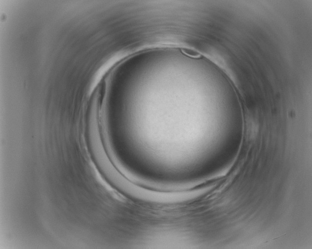 X0000066121006200603171749