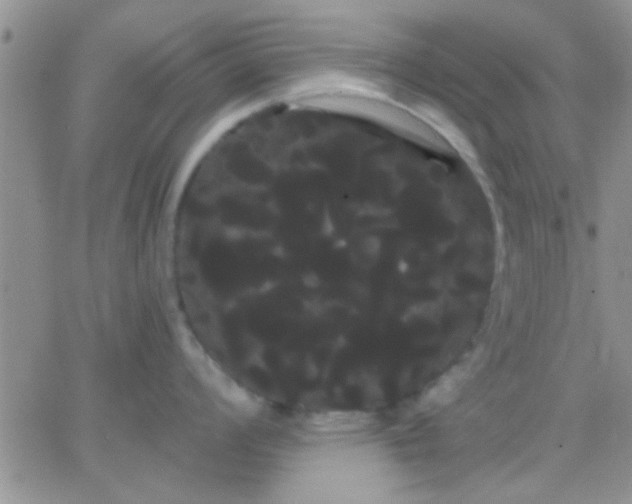 X0000066121008200603171749