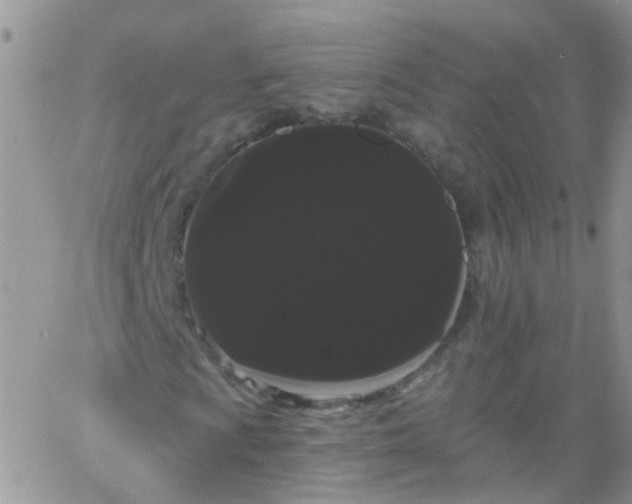 X0000066121009200603171748