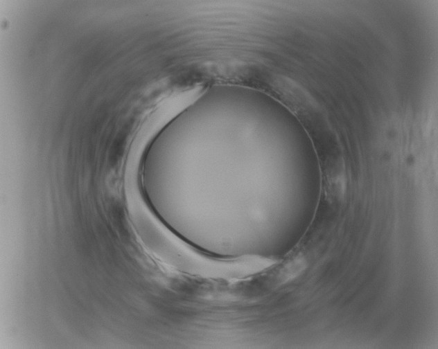 X0000066121010200603171748