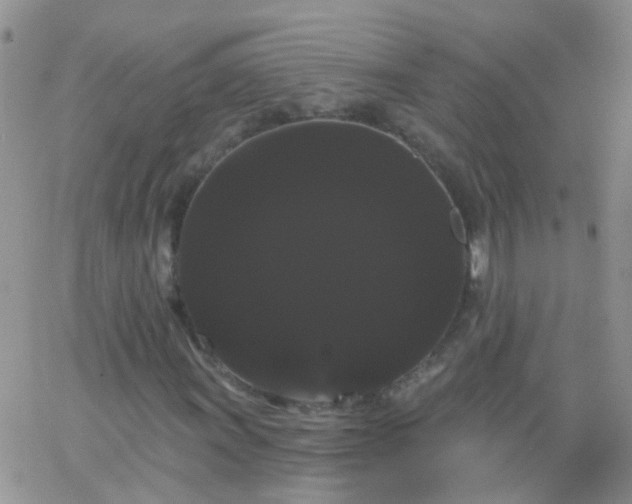 X0000066121011200603171748