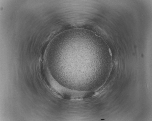 X0000066121012200603171748