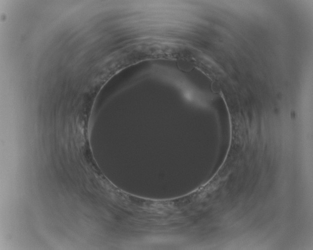 X0000066121013200603171748