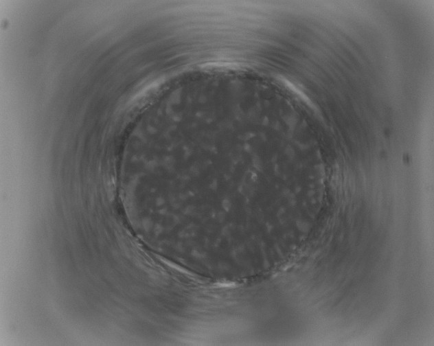 X0000066121015200603171748