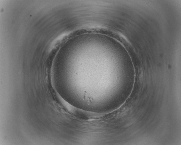 X0000066121016200603171748