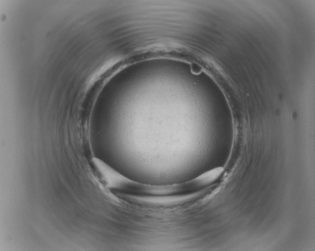 X0000066121018200603171748