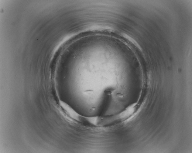 X0000066121021200603171748