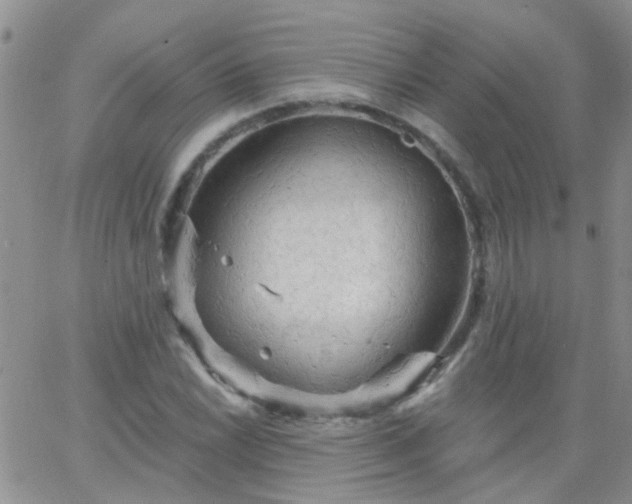 X0000066121022200603171748