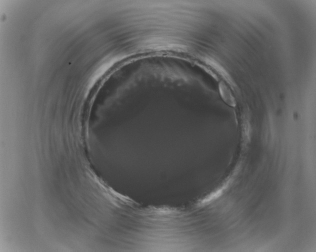 X0000066121023200603171748