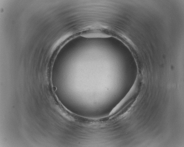 X0000066121026200603171748