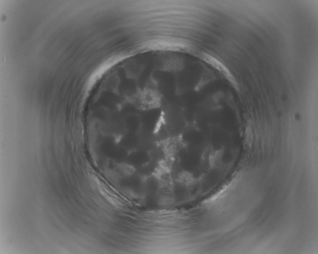 X0000066121027200603171749